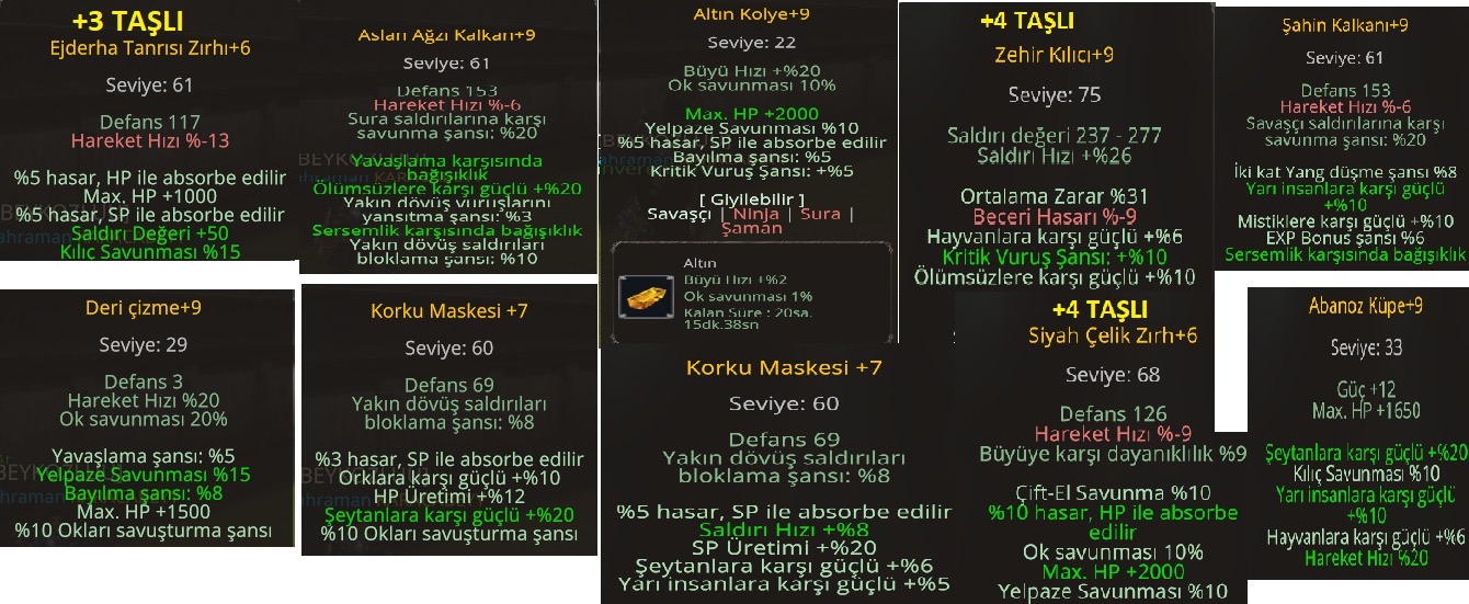 75lwl Bedensel Hava P