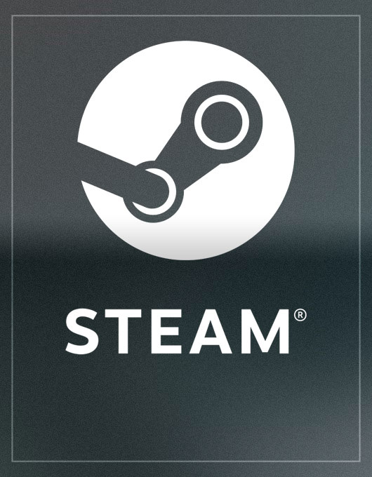 Steam Cüzdan 100 USD